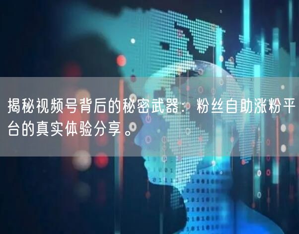 揭秘视频号背后的秘密武器：粉丝自助涨粉平台的真实体验分享。