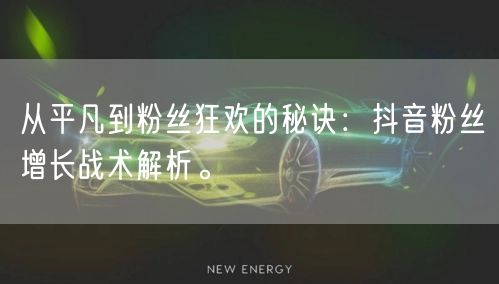 从平凡到粉丝狂欢的秘诀：抖音粉丝增长战术解析。