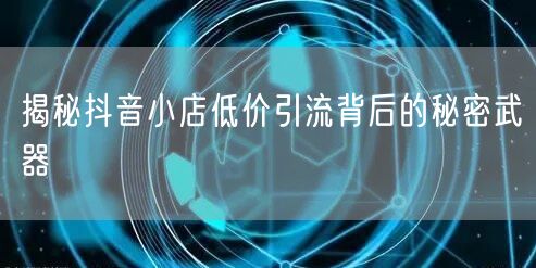 揭秘抖音小店低价引流背后的秘密武器
