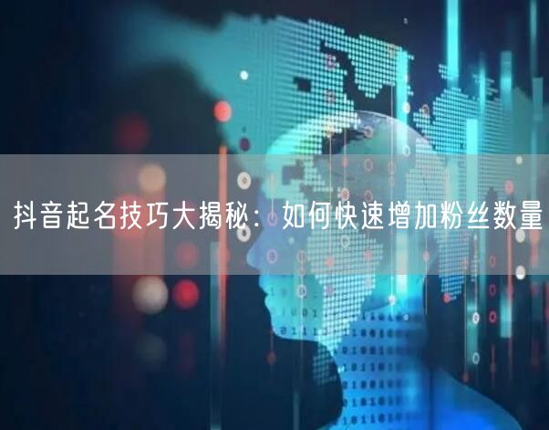 抖音起名技巧大揭秘：如何快速增加粉丝数量