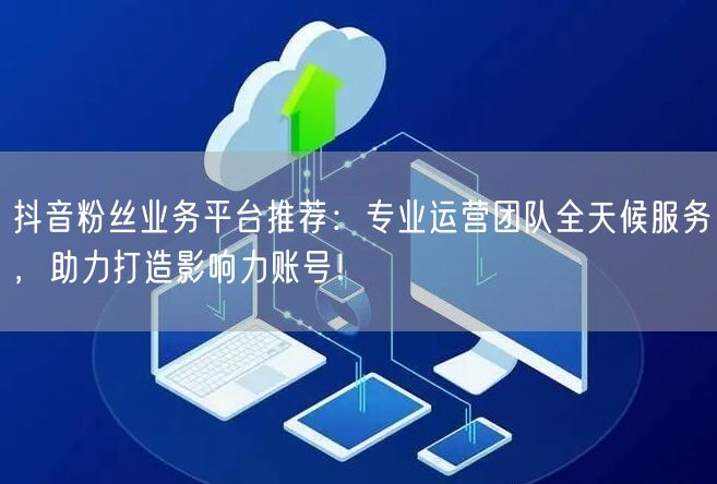 抖音粉丝业务平台推荐：专业运营团队全天候服务，助力打造影响力