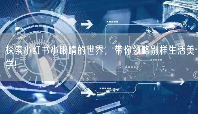 探索小红书小眼睛的世界，带你领略别样生活美学!
