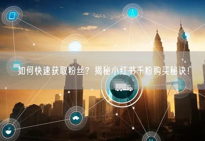 如何快速获取粉丝？揭秘小红书千粉购买秘诀