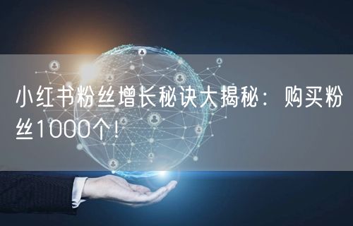 小红书粉丝增长秘诀大揭秘：购买粉丝1000个！