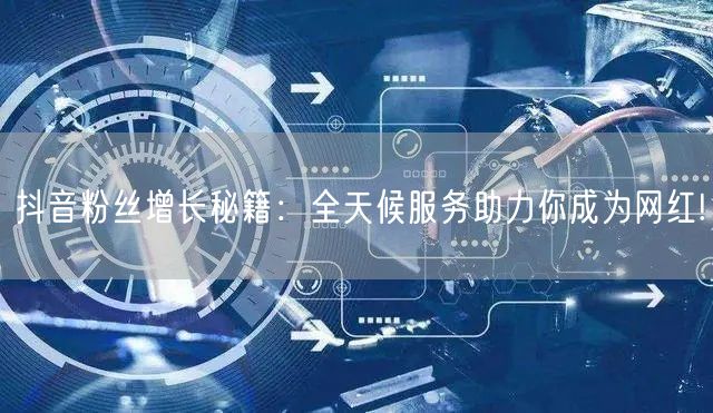 抖音粉丝增长秘籍：全天候服务助力你成为网红!