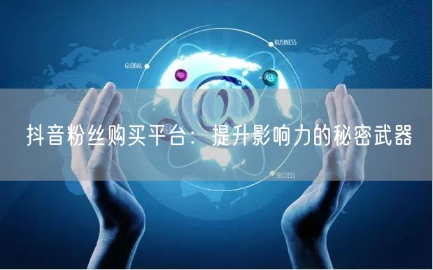 抖音粉丝购买平台：提升影响力的秘密武器