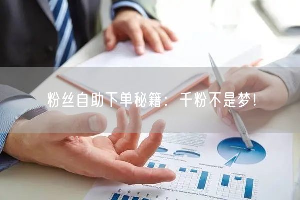 粉丝自助下单秘籍：千粉不是梦！