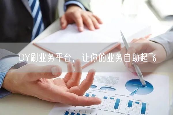 DY刷业务平台，让你的业务自助起飞