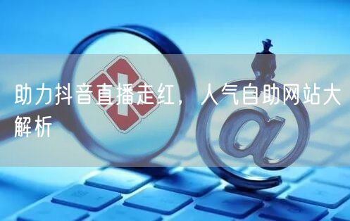 助力抖音直播走红，人气自助网站大解析