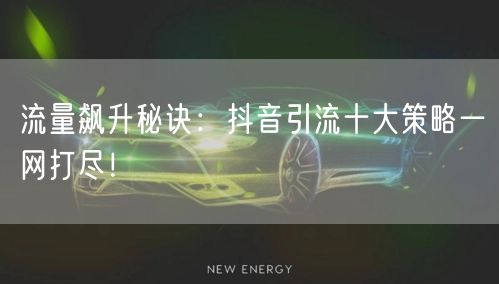 流量飙升秘诀：抖音引流十大策略一网打尽！