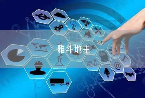 雅斗地主
