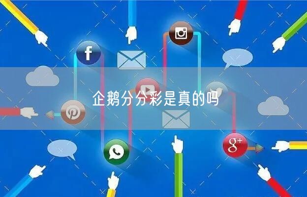 企鹅分分彩是真的吗