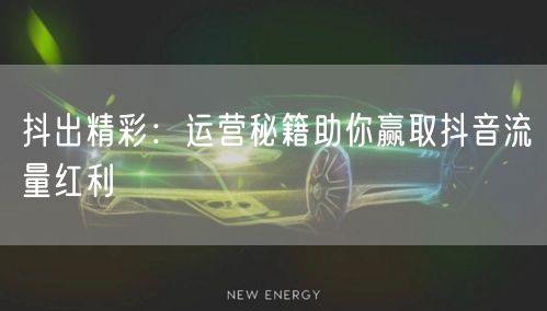 抖出精彩：运营秘籍助你赢取抖音流量红利