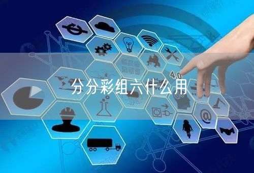 分分彩组六什么用