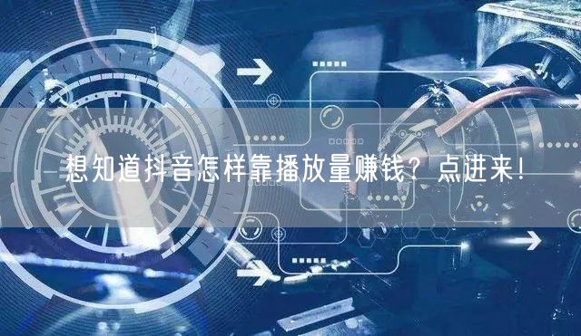 想知道抖音怎样靠播放量赚钱？点进来！