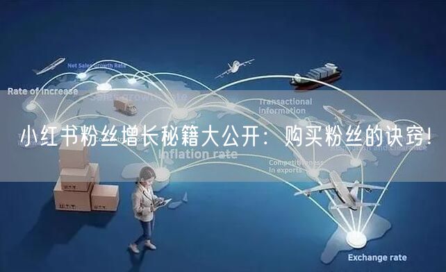 小红书粉丝增长秘籍大公开：购买粉丝的诀窍