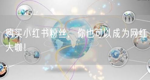 购买小红书粉丝，你也可以成为网红大咖！