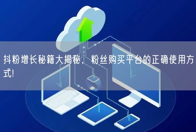 抖粉增长秘籍大揭秘，粉丝购买平台的正确使