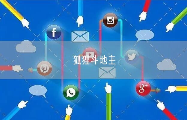 狐狸斗地主