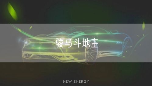 骏马斗地主
