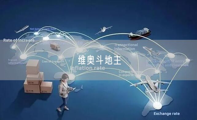 维奥斗地主